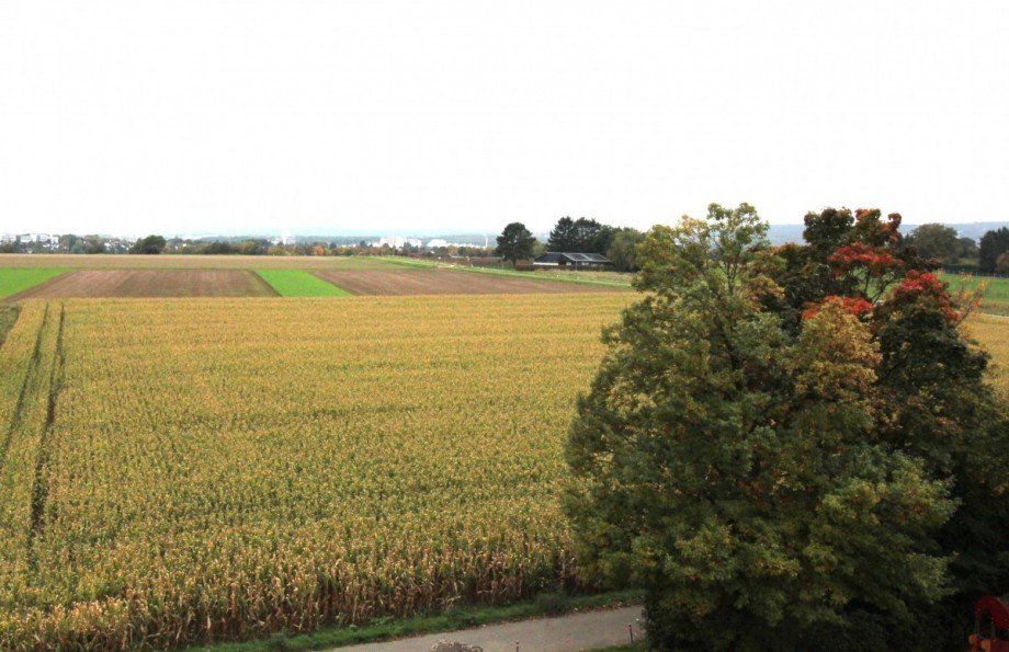 Ausblick1 Etagenwohnung Steinbach (Taunus)