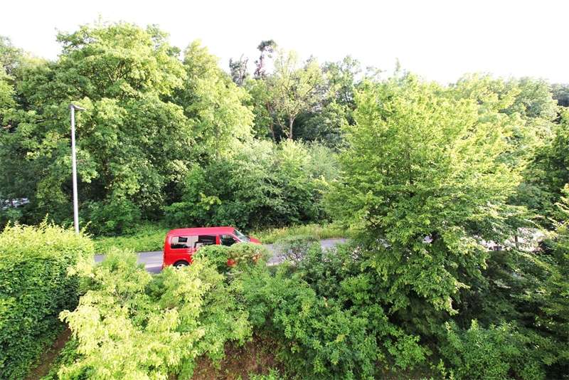 Blick in den Wald Wohnung Oberursel